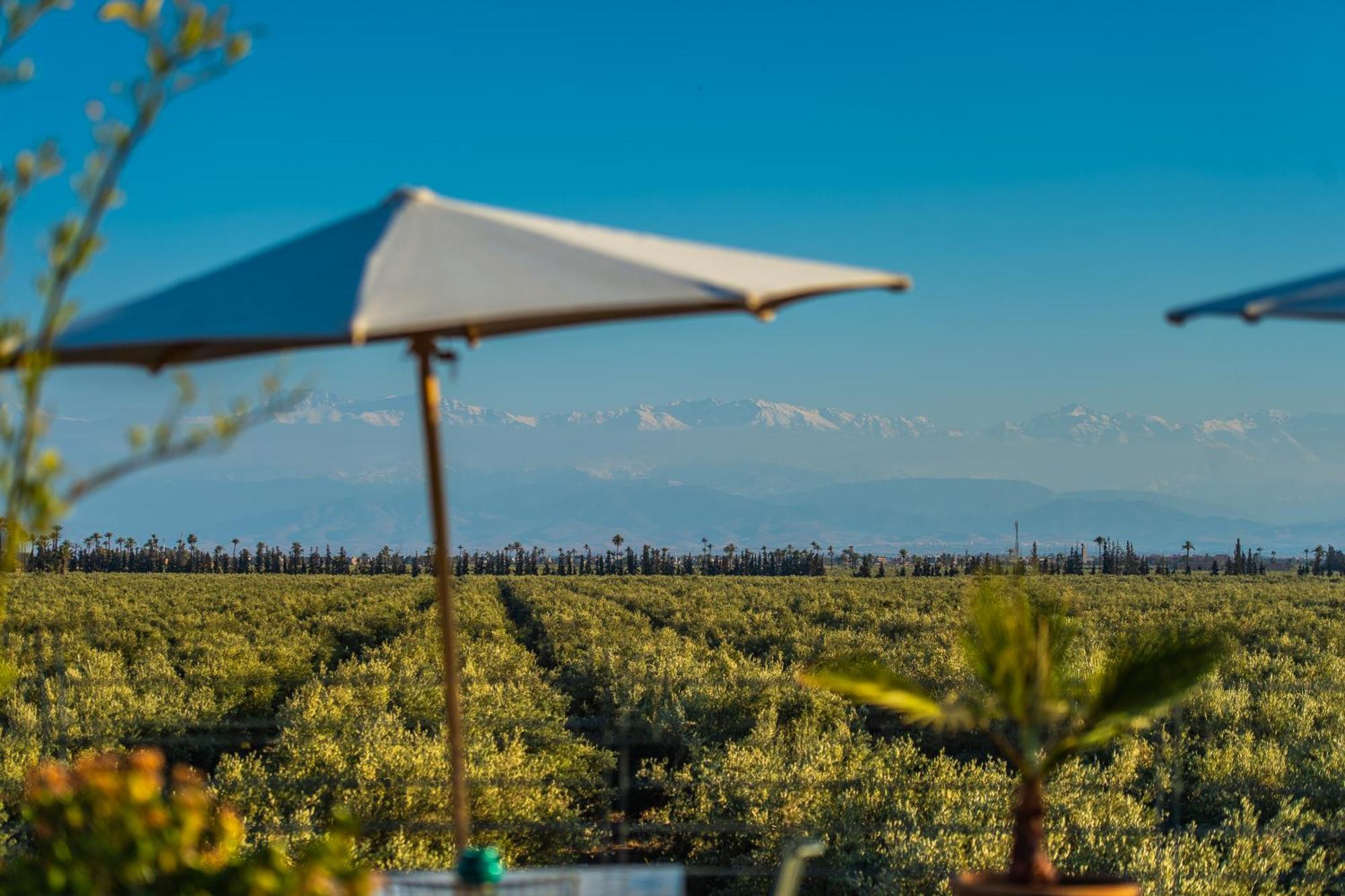 Riad Bab Ahmar Marrakesh Eksteriør billede